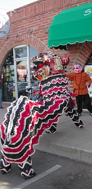 Seven Cups Tea House in Tucson, Arizona