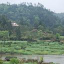 Qimen2